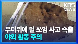 무더위에 벌 쏘임 사고 잇따라…야외 활동 주의 / KBS  2024.08.05.