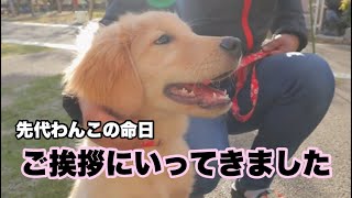 【先代犬の命日】はじめてお墓に挨拶に行きました。