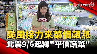 颱風接力來菜價飆漲 北農9/6起釋「平價蔬菜」｜#寰宇新聞 @globalnewstw