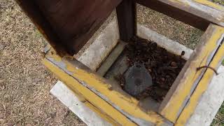 New Techonology: Hornet Trap, Beekeeping Nepal