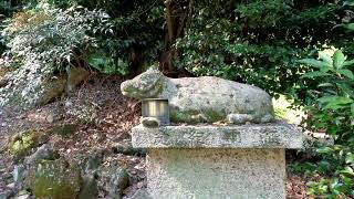 天満神社（桜井粟原2012）奈良の爺々