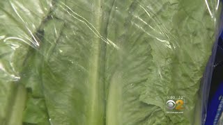 Romaine Lettuce Warning Costing Produce Buyers A Lot Of Gree