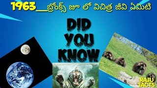 1963 𝙔𝙀𝘼𝙍_ బ్రోంక్స్ జూ లో  ప్రమాదకరమైనది జీవి ఏమిటి..?? .. 𝙪𝙣𝙠𝙣𝙤𝙬𝙣 𝙛𝙖𝙘𝙩𝙨 𝙞𝙣 𝙩𝙚𝙡𝙪𝙜𝙪