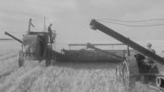 Campbell Farming Corporation: Self-contained combines cutting grain