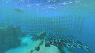 Making A Seamoth Every Day Until Subnautica 2: Day 459