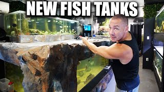 2 NEW aquarium setups