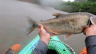 Gran Pesca de machacas en Cañas Guanacaste.