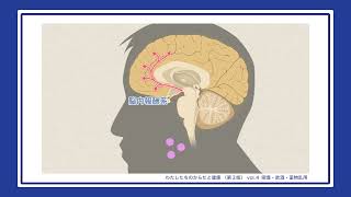 薬物依存のしくみについて