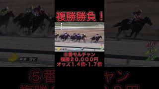 【競馬】馬券勝負！複勝20,000円買ってみた！ #競馬