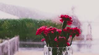 Best #Relaxing #Piano #Music, #Calming, #Soothing #Relaxation, #Meditation, #Spa #raindrops, #nature
