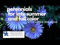 Perennials for Late Summer and Fall Color