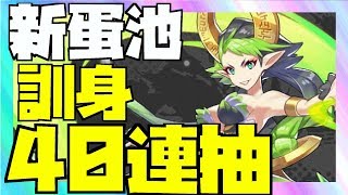 40連抽！新卡池會中嗎？｜失落的龍絆｜Dragalia Lost｜ドラガリアロスト