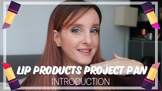 Lip Products Project Pan 2025 | Introduction