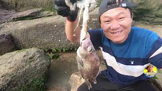 大水坑裡魚獲沸騰，阿灶叫朋友抬來抽水機抽乾，海貨竟在互相殘殺