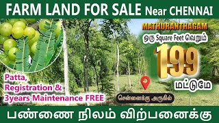 சென்னை அருகில் பண்ணை நிலம்  விற்பனைக்கு | 199 ரூபாய் | Farm land for sale near Chennai | #farmhouse