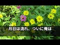 【感動する話】両親が亡くなり施設で天蓋孤独に生きる俺。ある日、施設長の言葉に驚き街を彷徨い歩く…数年後、まさかの人物が現れ…【泣ける話】【いい話】