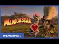 MADLY MADAGASCAR - Now Available on DVD