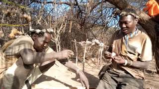 Hadzabe tribe men explaining why they don't add salt on their meal.