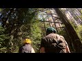 Redwood Forest, Warburton