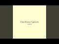 Pulse Breeze Fragments