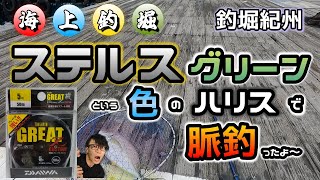 【海上釣堀】使うだけで釣れそうな色のハリスで脈釣りしてみたよ～