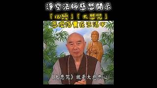 #淨空法師慈悲開示 心經、大悲咒 怎麼落實在生活當中