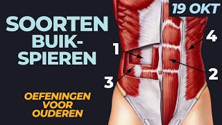 Hoe train je de 4 soorten buikspieren? 10 minuten oefeningen voor 60-plussers