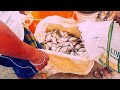 କାଳୁପଡା ପେଣ୍ଠରେ ମାଛଧରା kalupada pentha fishing vlog