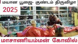 Anaimalai Masani Amman kovil  Mayana Poojai || ஆனைமலை மாசாணியம்மன் திருக்கோயில் மயான பூஜை 11.02.2025