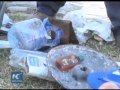 Search for more MH370 debris continues on Reunion Island