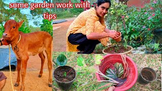 ನನ್ನ garden ನಲ್ಲಿ ಸ್ವಲ್ಪ ಕೆಲಸ, ಸ್ಪಲ್ಪ tips