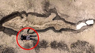 A Man Unearthed an Ancient Creature That is 180 Million Years Old