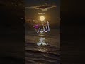 beautiful Islam status hazrat ali ka farman short video #short #islamicshots #islamicvideo #trending