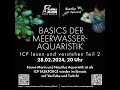 Basics der Meerwasseraquaristik - ICP lesen und verstehen Teil 2