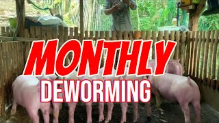 Monthly deworming @C\u0026L tv the Agri Venture