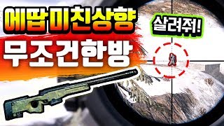 🔥데미지 상향 버프먹은 AWM!!🔥몸샷에 무조건 죽는다!! 핵사기 에땁;;