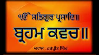 ਸੰਪੂਰਣ ਪਾਠ ਸ੍ਰੀ ਬ੍ਰਹਮ ਕਵਚ - Sampooran Brahm Kawach Sri Mukhwaak Paatshahi Dasveen - See Description