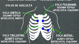 Semiologia médica   Ausculta cardíaca