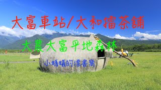 萬ㄟeye台灣201908大農大富平地森林/大和擂茶舖/大富車站   4K