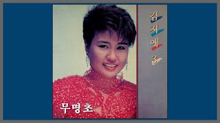 무명초 - 김지애 / 1988 (가사)