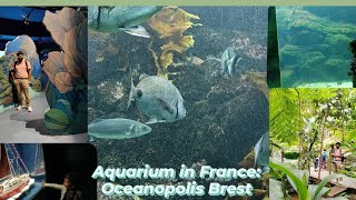 Aquarium in France : Océanopolis Brest