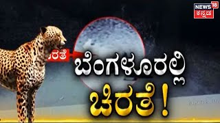 Leopards | Bengaluru ಸುತ್ತಮುತ್ತ ಶುರುವಾಗಿದೆ ಚಿರತೆ ಕಾಟ; Devanahalli, Airport ಸುತ್ತಲಿನ ಜನರಲ್ಲಿ ಆತಂಕ