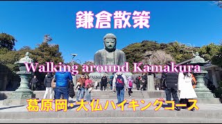 ～鎌倉散策～　Kamakura Walk　葛原岡・大仏ハイキングコース　銭洗弁天　佐助稲荷　鎌倉大仏　富士山絶景