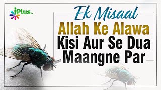 Ek Misaal - Allah Ke Alawa Kisi Aur Se Dua Maangne Par | Sk. Abdul Qadeer | Shorts Whatsapp Status