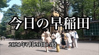 【早稲田大学】校歌なし/セミの音/夏/散歩/ルーティン/Vlog/2021年7月20日14時