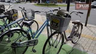 Biking around the Onuma Park