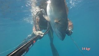 14 kgr Σφυρίδα -  White Grouper (cernie) - Dimitris Vosios (Spearfishing - Pescasub - Ψαροντούφεκο)