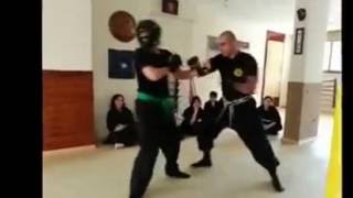 Practical Bujinkan Ninjutsu for the street