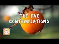 The Five Contemplations Before Eating | Brother Phap Linh (audio)