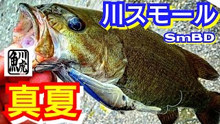 yasu 真夏の川スモールマウスバス【川バス釣り】2023年8月BassFishing